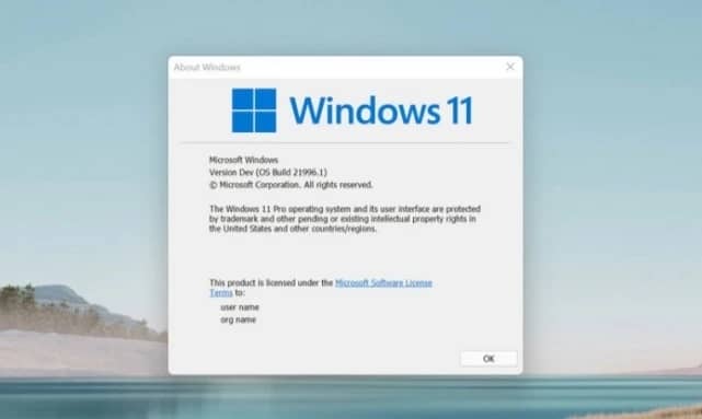 Windows 11ϵy(tng)l(f)ʲôrֱ