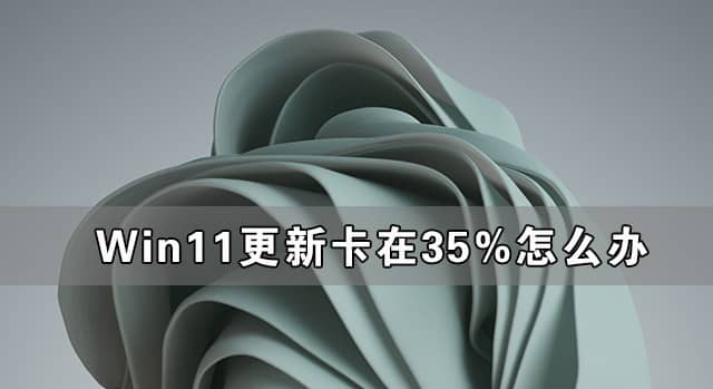 win11¿35%(dng)ôk