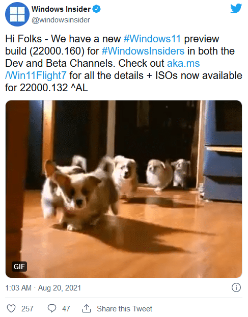 ȶr(sh)ׂ(g)Windows 11 ISORl(f)