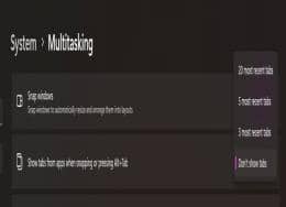 {(dio)Win11Alt+Tabֻ֧ГQ20(bio)