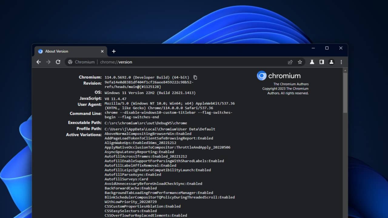 Win11ȸChromeg[Mica|