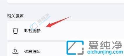 Win11如何卸載已安裝補(bǔ)丁-怎么卸載win11系統(tǒng)最新補(bǔ)丁