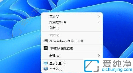 win11Iˆô׃ϰ汾-Win11(bio)Iֱ@ʾx
