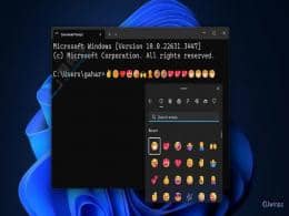 Win11¸(qing)TerminalKˑ(yng)F(xin)֧ݔEmoji