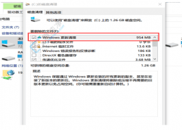 Win10系統(tǒng)更新文件清理指南：幫你輕松騰出寶貴硬盤空間