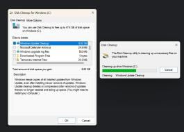 Win11 24H2  Bug  8.63GB o(w)΢ܛ_J(rn)ֽQ
