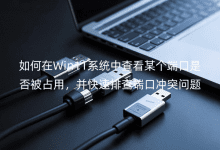 如何在Win11系統(tǒng)中查看某個端口是否被占用，并快速排查端口沖突問題
